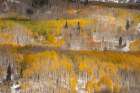 USA, Colorado, Gunnison National Forest. Mountain and forest landscape in autumn. Art Print